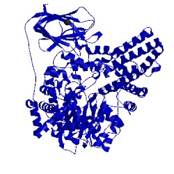 Image of CATH 2vca