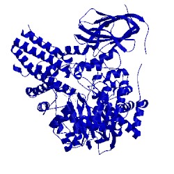 Image of CATH 2vcb