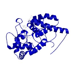 Image of CATH 2vcf