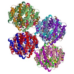 Image of CATH 2vcv