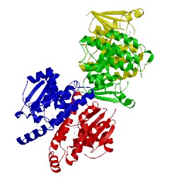 Image of CATH 2vcw