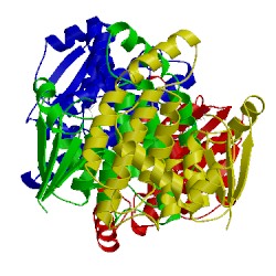 Image of CATH 2vd0