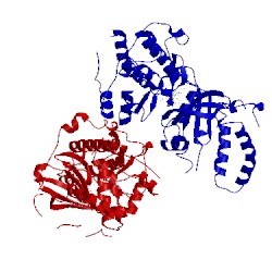 Image of CATH 2vd5