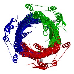 Image of CATH 2vdd