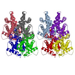 Image of CATH 2vee