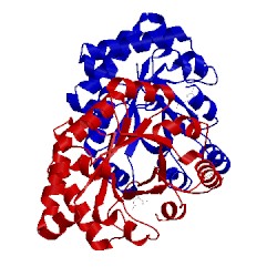 Image of CATH 2vek