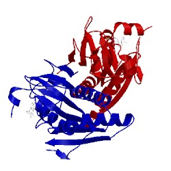 Image of CATH 2vfa
