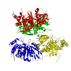 Image of CATH 2vfj