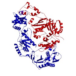 Image of CATH 2vg5