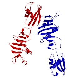 Image of CATH 2vh2