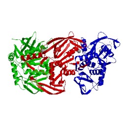 Image of CATH 2vhc