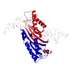 Image of CATH 2vhg