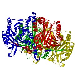 Image of CATH 2vhh