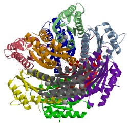 Image of CATH 2vi5