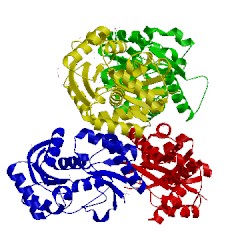 Image of CATH 2vlb