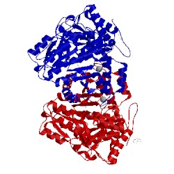 Image of CATH 2vlf