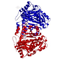 Image of CATH 2vlh