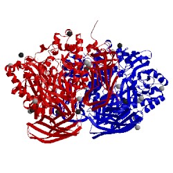 Image of CATH 2vmf