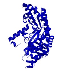 Image of CATH 2vms