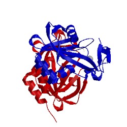 Image of CATH 2vnq