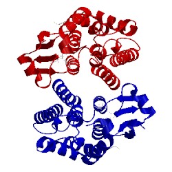 Image of CATH 2vo4
