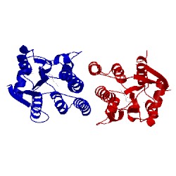 Image of CATH 2vp5