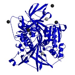 Image of CATH 2vps