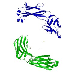 Image of CATH 2vq1