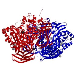 Image of CATH 2vqu