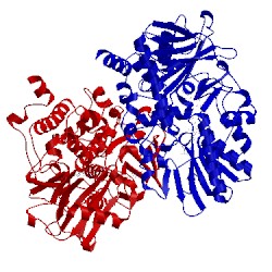 Image of CATH 2vrm