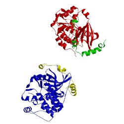 Image of CATH 2vrx