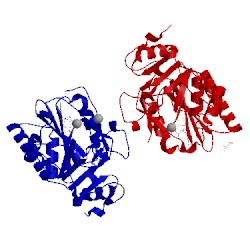 Image of CATH 2vs5