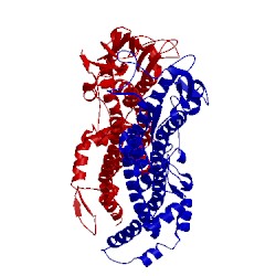 Image of CATH 2vsg