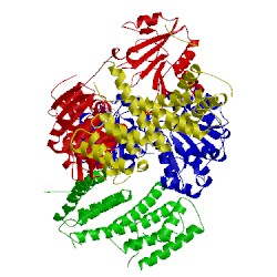 Image of CATH 2vso