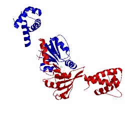 Image of CATH 2vt3