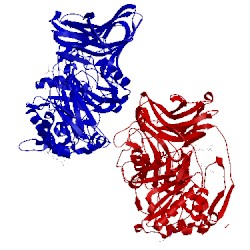 Image of CATH 2vtf