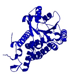 Image of CATH 2vtk