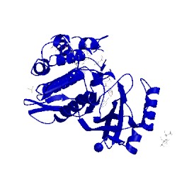 Image of CATH 2vuw