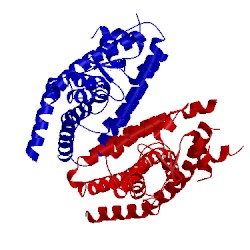 Image of CATH 2vv3