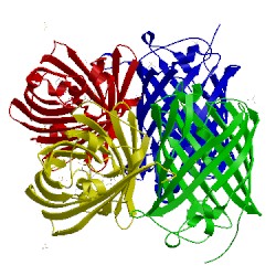 Image of CATH 2vvh