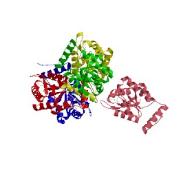Image of CATH 2vvp