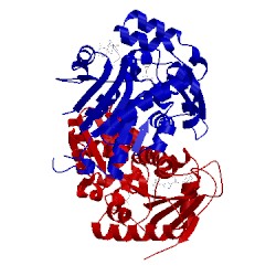 Image of CATH 2vvt