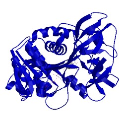 Image of CATH 2vwh