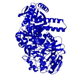 Image of CATH 2vwk