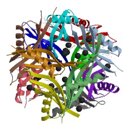 Image of CATH 2vxa