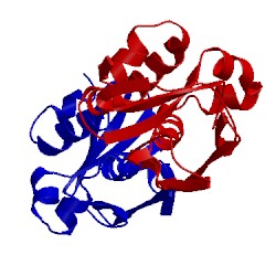 Image of CATH 2vxp