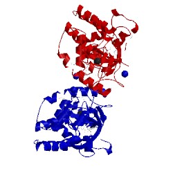 Image of CATH 2vy3