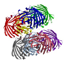 Image of CATH 2vzx