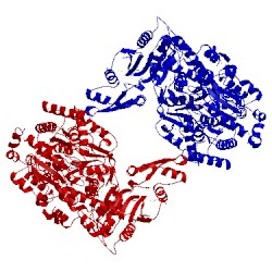 Image of CATH 2w00