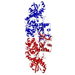 Image of CATH 2w04